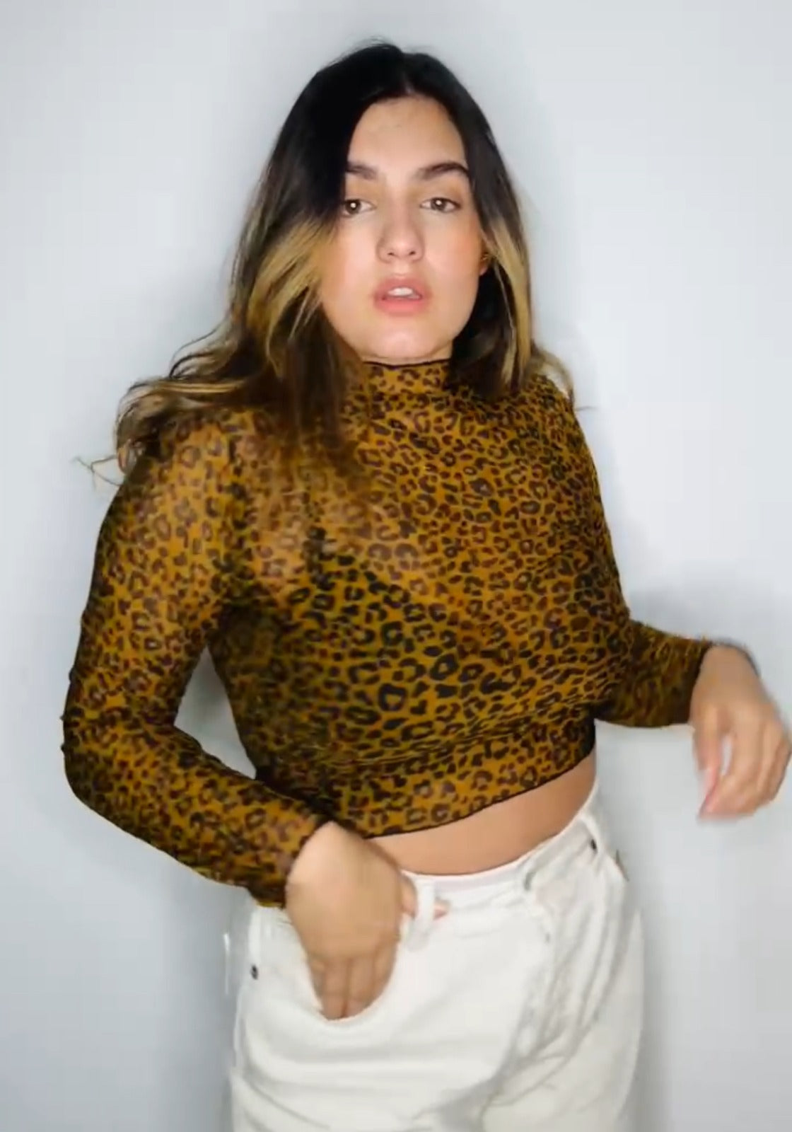 Danna Mesh Croptop